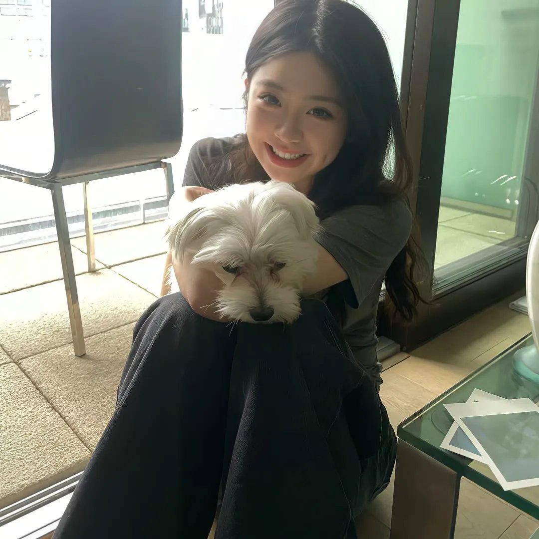 五月槐花香